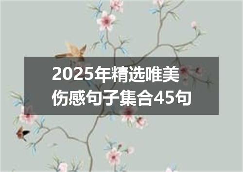 2025年精选唯美伤感句子集合45句