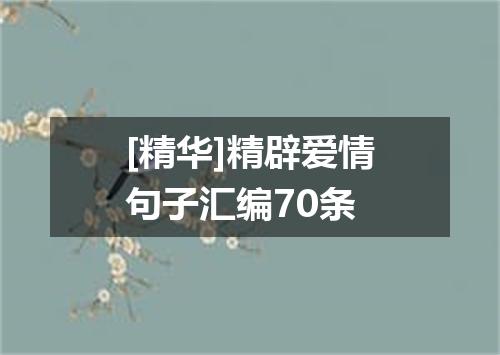 [精华]精辟爱情句子汇编70条