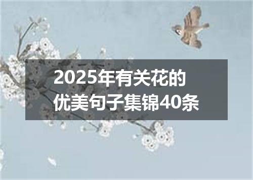 2025年有关花的优美句子集锦40条