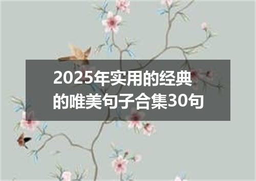 2025年实用的经典的唯美句子合集30句