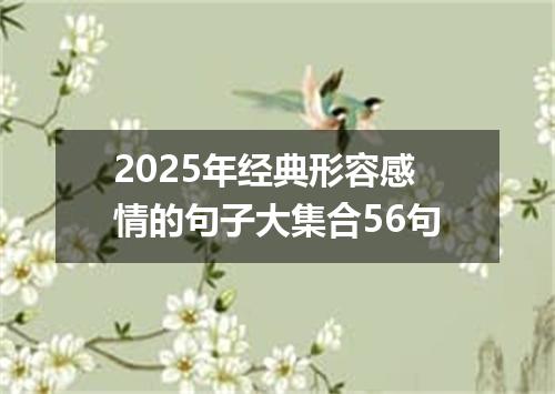 2025年经典形容感情的句子大集合56句