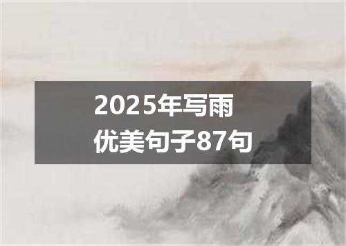 2025年写雨优美句子87句