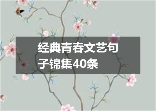 经典青春文艺句子锦集40条