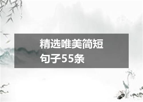 精选唯美简短句子55条