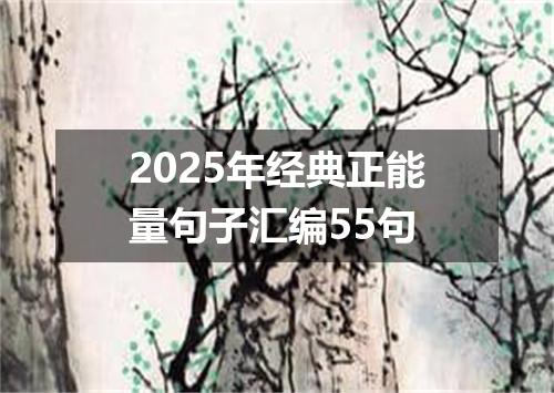 2025年经典正能量句子汇编55句