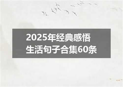 2025年经典感悟生活句子合集60条