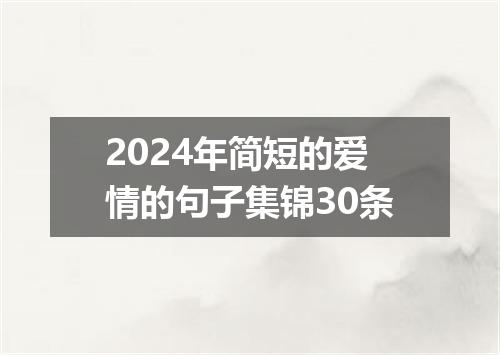 2024年简短的爱情的句子集锦30条