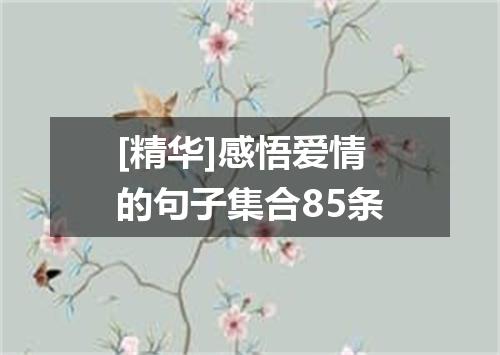[精华]感悟爱情的句子集合85条