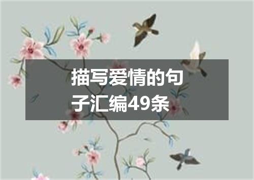 描写爱情的句子汇编49条