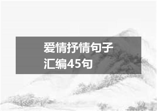 爱情抒情句子汇编45句