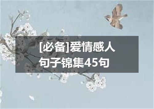 [必备]爱情感人句子锦集45句