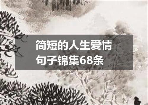 简短的人生爱情句子锦集68条