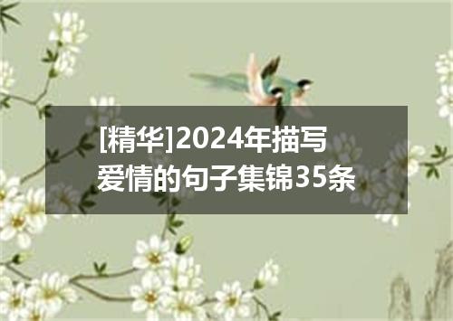 [精华]2024年描写爱情的句子集锦35条