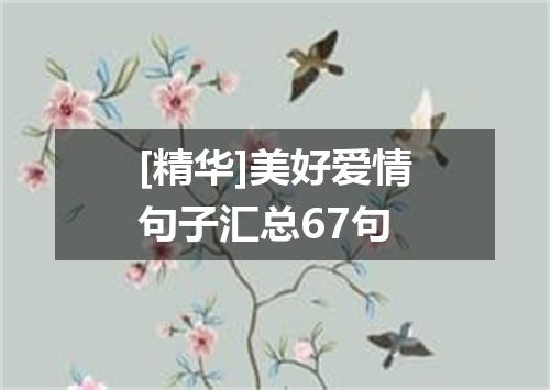 [精华]美好爱情句子汇总67句