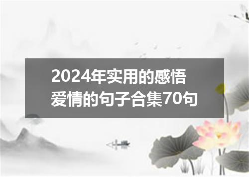 2024年实用的感悟爱情的句子合集70句
