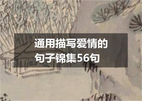 通用描写爱情的句子锦集56句