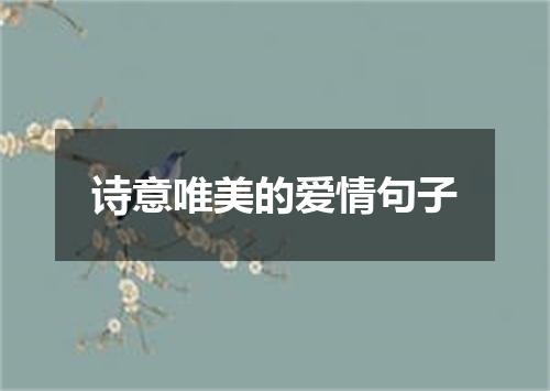 诗意唯美的爱情句子