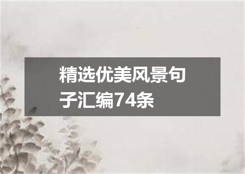 精选优美风景句子汇编74条