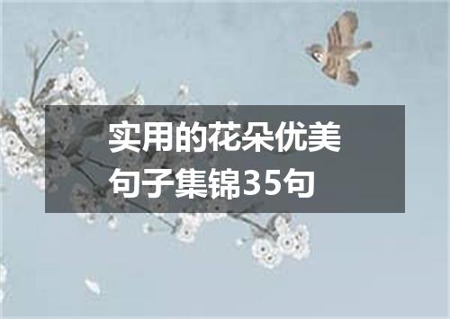 实用的花朵优美句子集锦35句