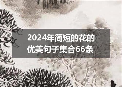 2024年简短的花的优美句子集合66条
