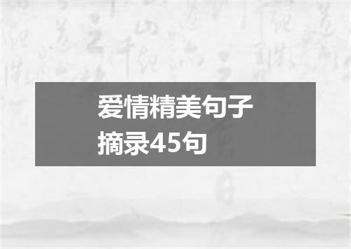 爱情精美句子摘录45句