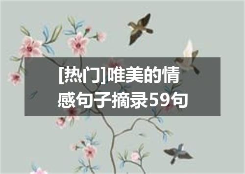 [热门]唯美的情感句子摘录59句