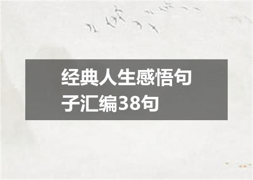 经典人生感悟句子汇编38句