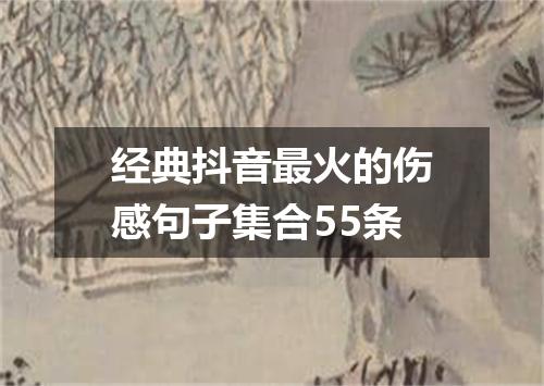 经典抖音最火的伤感句子集合55条