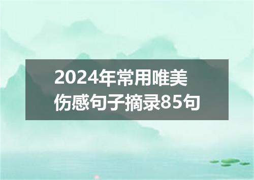 2024年常用唯美伤感句子摘录85句