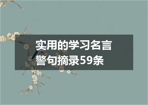 实用的学习名言警句摘录59条