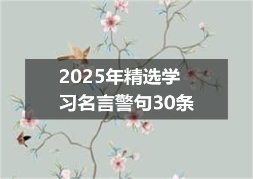 2025年精选学习名言警句30条