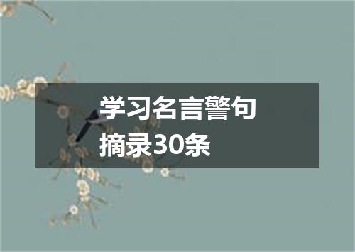 学习名言警句摘录30条