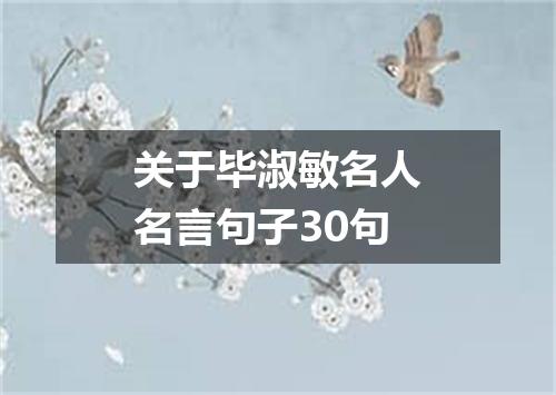 关于毕淑敏名人名言句子30句