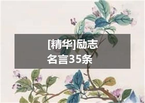 [精华]励志名言35条