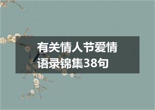 有关情人节爱情语录锦集38句