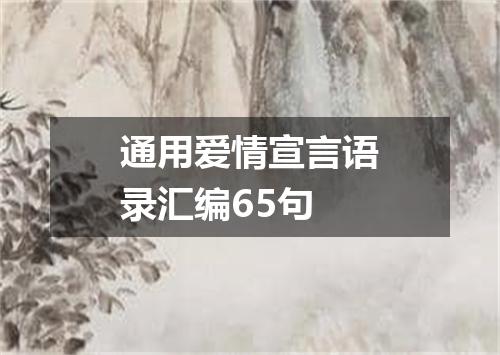 通用爱情宣言语录汇编65句