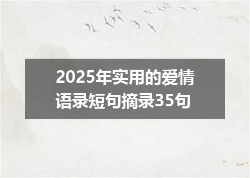 2025年实用的爱情语录短句摘录35句