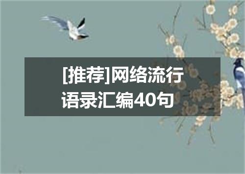 [推荐]网络流行语录汇编40句