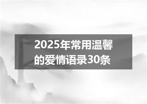 2025年常用温馨的爱情语录30条
