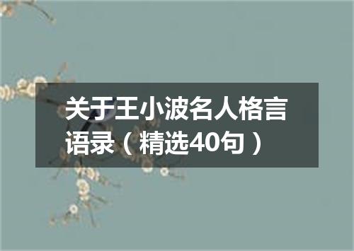 关于王小波名人格言语录（精选40句）