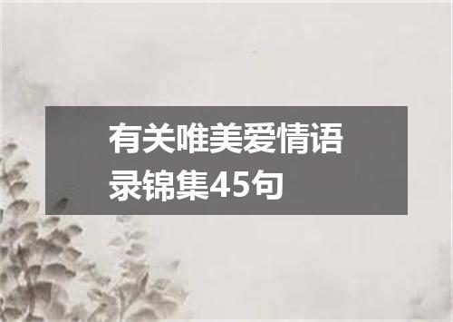 有关唯美爱情语录锦集45句