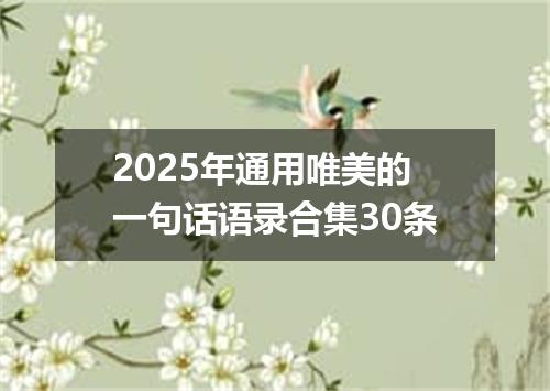 2025年通用唯美的一句话语录合集30条