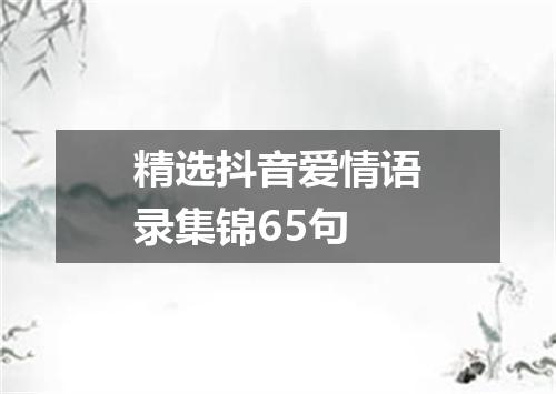 精选抖音爱情语录集锦65句