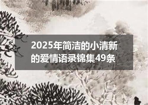 2025年简洁的小清新的爱情语录锦集49条