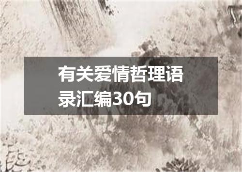 有关爱情哲理语录汇编30句
