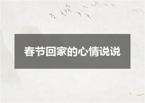 春节回家的心情说说