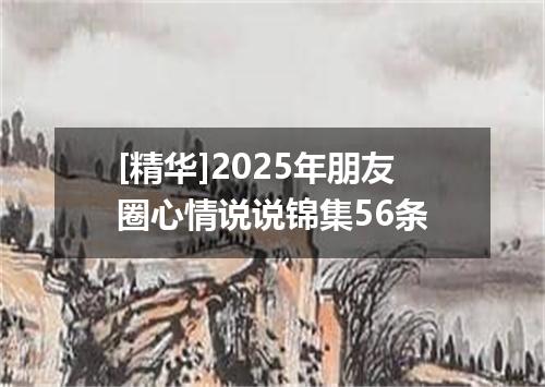 [精华]2025年朋友圈心情说说锦集56条