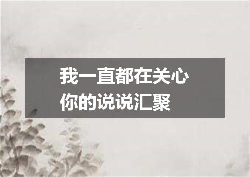 我一直都在关心你的说说汇聚