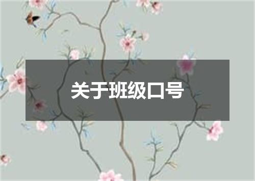 关于班级口号