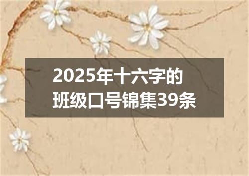 2025年十六字的班级口号锦集39条